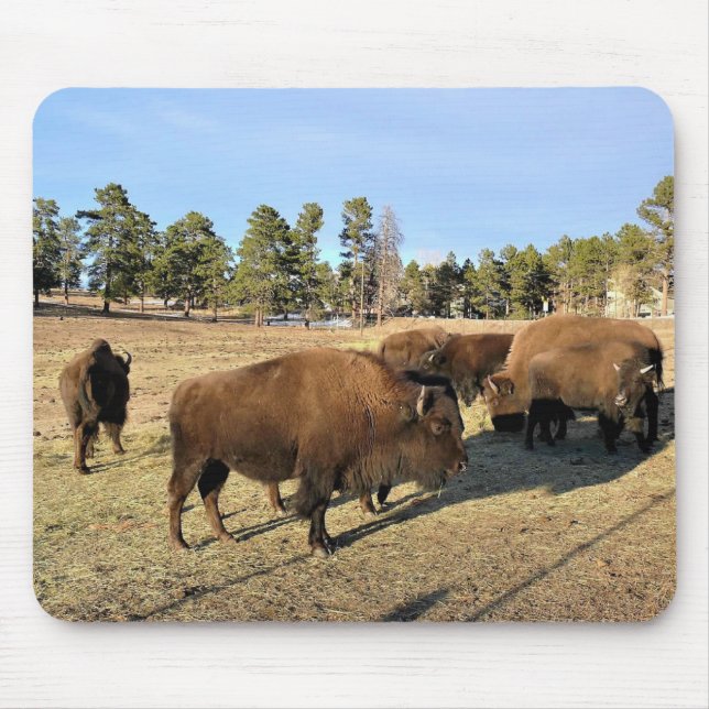 Bison in Colorado Mousepad (Vorne)