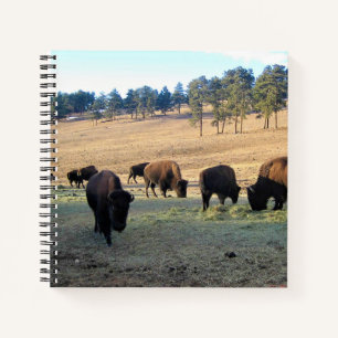 Bison in Colorado Notizbuch