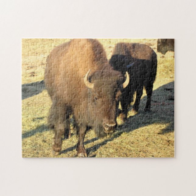 Bison in Colorado Puzzle (Horizontal)
