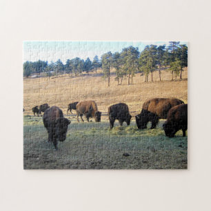 Bison in Colorado Puzzle