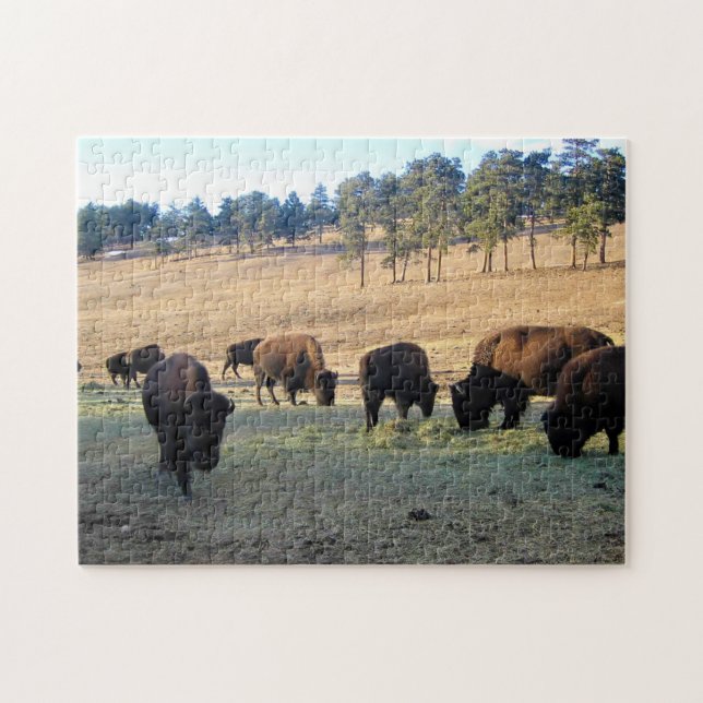 Bison in Colorado Puzzle (Horizontal)