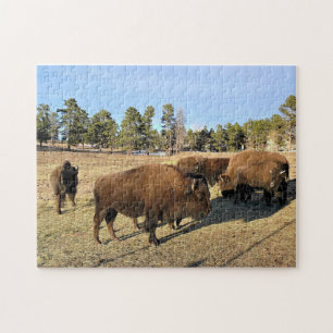 Bison in Colorado Puzzle