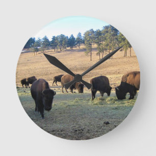 Bison in Colorado Runde Wanduhr