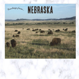 Bison in Nebraska Postkarte
