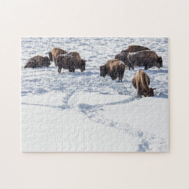 Bison in Snow Jigsaw Puzzle (Horizontal)