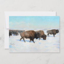 Bison in the Snow (von Rosa Bonheur)