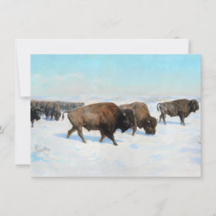 Bison in the Snow (von Rosa Bonheur) Karte