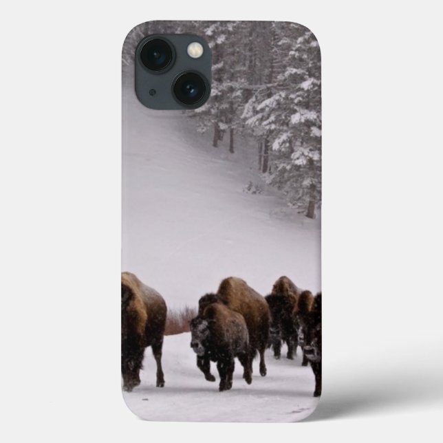 Bison in Winter Case-Mate iPhone Hülle (Rückseite)