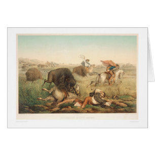 Bison-Jagd (0008A)
