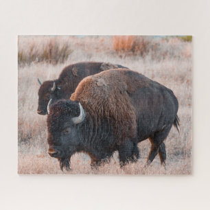 Bison-Jigsaw-Puzzle Puzzle