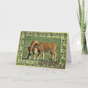 Bison kalbt nordamerikanische Tierweihnachtskarte Feiertagskarte