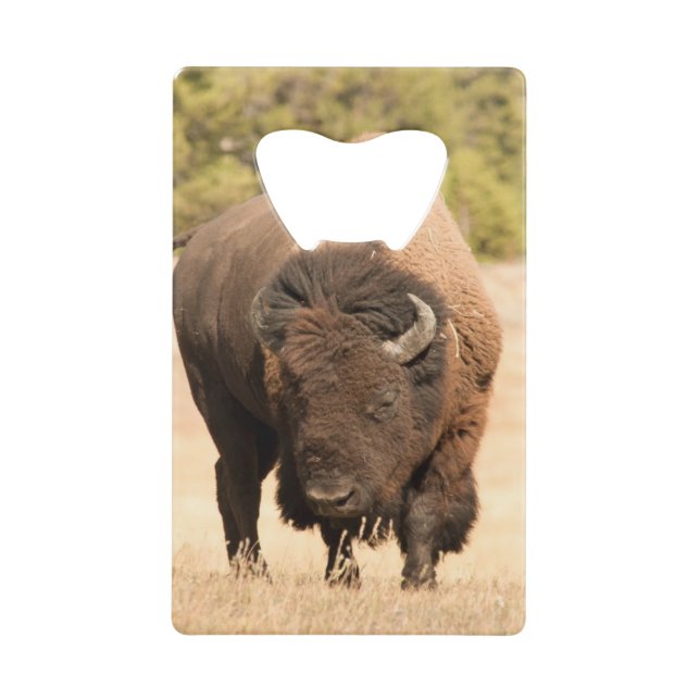Bison Kreditkarten Flaschenöffner (Vorderseite)