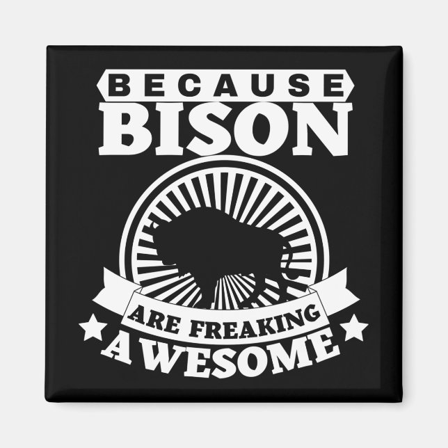 BISON MAGNET (Vorne)