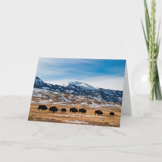 Bison-Migration Karte (Vorderseite)