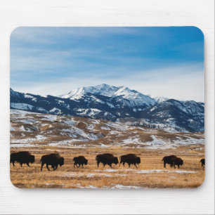 Bison-Migration Mousepad