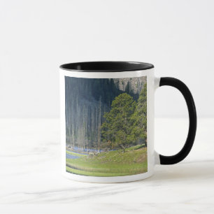 Bison mit Kalb im Yellowstone-Nationalpark Tasse