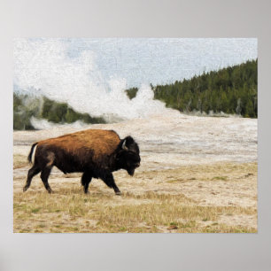 Bison mit Old Faithness in Yellowstone Poster