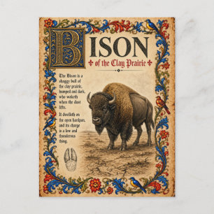 Bison, mittelalterliche Bestiarien-Kunst Postkarte