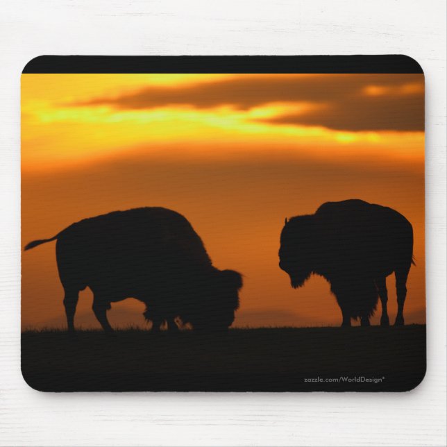 Bison Mousepad (Vorne)