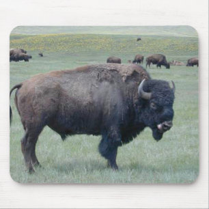 Bison Mousepad