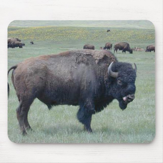 Bison Mousepad (Vorne)
