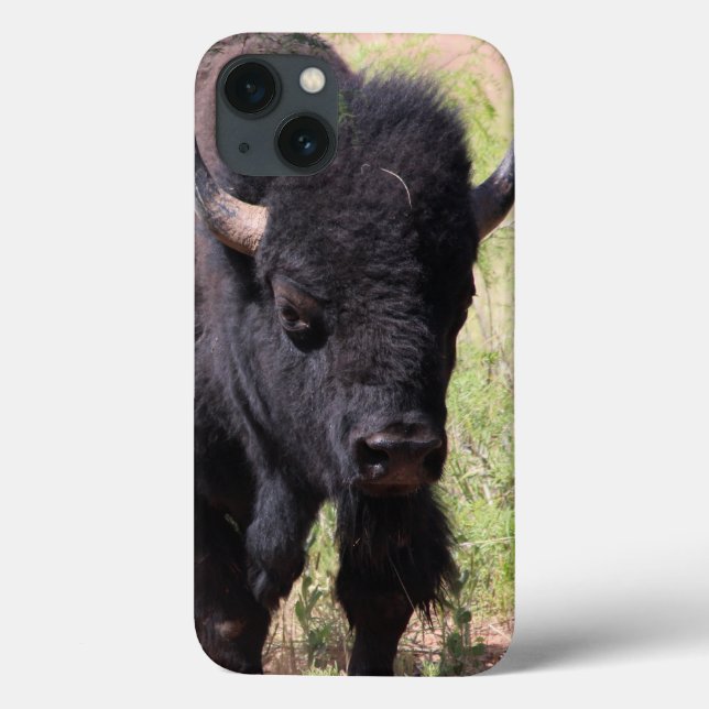 Bison Nah Up iPhone Fälle Case-Mate iPhone Hülle (Rückseite)