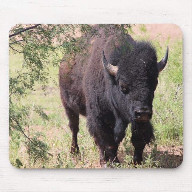 Bison Nah up Mousepad (Vorne)