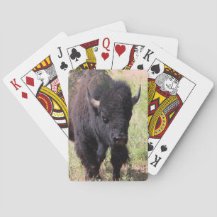 Bison Nah up Spielkarten