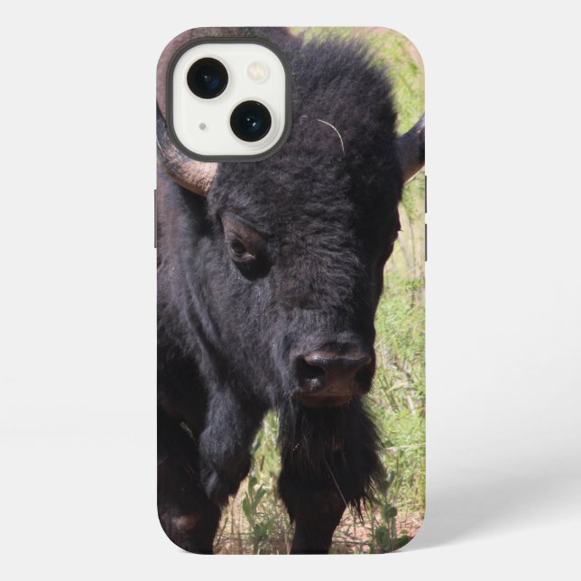 Bison Nahaufnahme iPhone Hüllen Hülle (Rückseite)