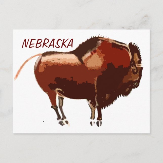 Bison Nebraska-Postkarte Postkarte (Vorderseite)
