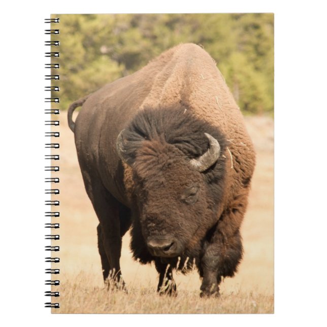 Bison Notizblock (Vorderseite)