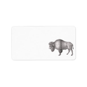 Bison oder Buffalo Antique Print Adressaufkleber