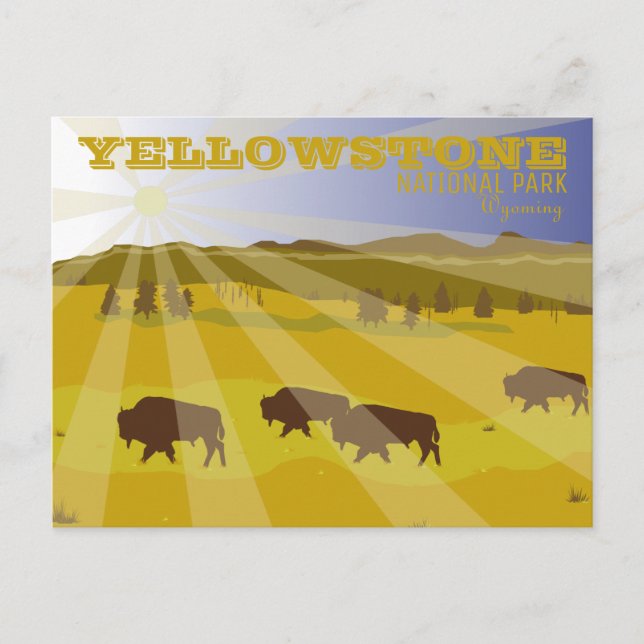 Bison of Yellowstone Nationalpark, Wyoming Postkarte (Vorderseite)