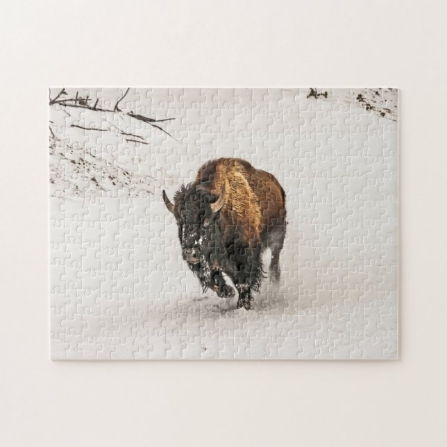 Bison Plodding Through Snow - 252 Stück Puzzle (Horizontal)