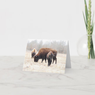 Bison Prairie Note Card