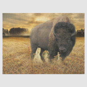 Bison Prairie Seidenpapier
