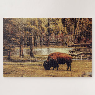 Bison Puzzle