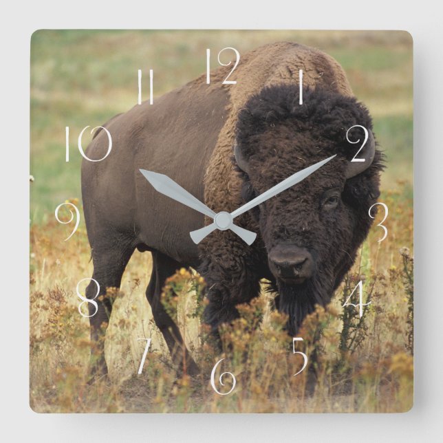 Bison Quadratische Wanduhr (Vorderseite)