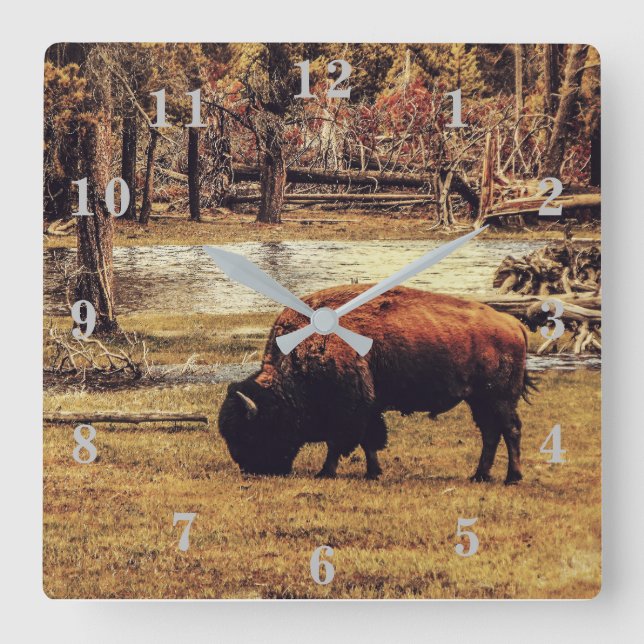 Bison Quadratische Wanduhr (Vorderseite)