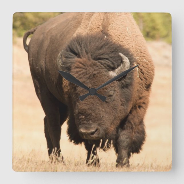 Bison Quadratische Wanduhr (Vorderseite)