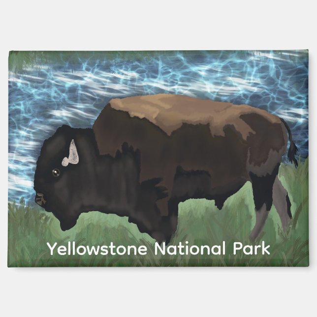 Bison Roaming durch den Yellowstone Nationalpark Magnet (Vorderseite)