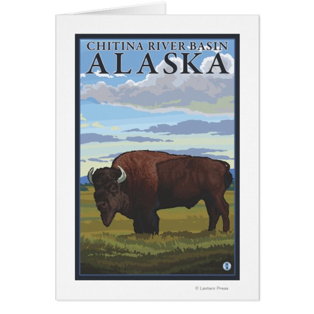 Bison Scene - Chitina River Basin, Alaska (Vorne)