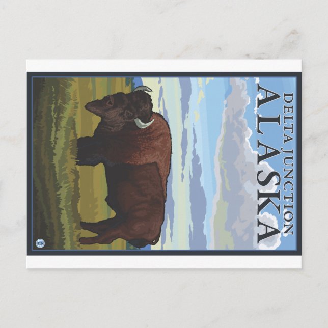 Bison Scene - Delta Junction, Alaska Postkarte (Vorderseite)