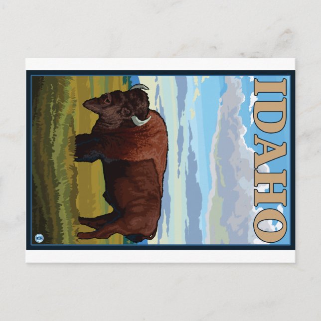 Bison Scene - Idaho Postkarte (Vorderseite)