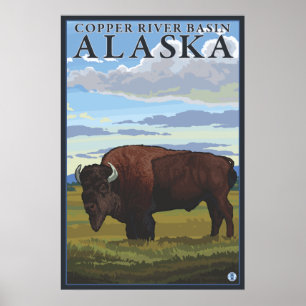 Bison Scene - Kupferbecken, Alaska Poster