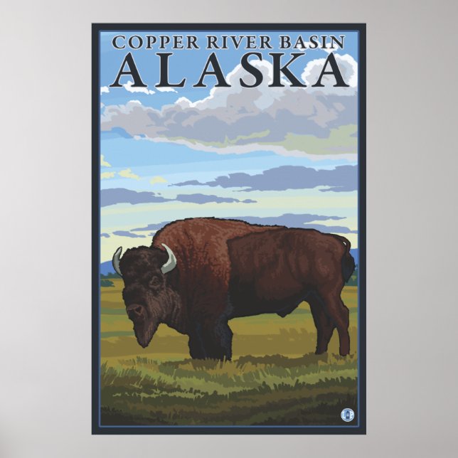 Bison Scene - Kupferbecken des Flusses Alaska Poster (Vorne)