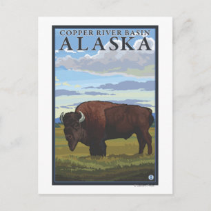 Bison Scene - Kupferbecken des Flusses Alaska Postkarte