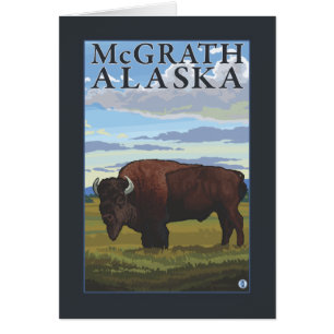 Bison Scene - McGrath, Alaska