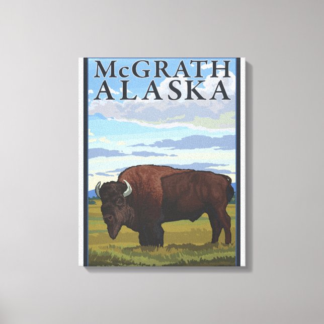 Bison Scene - McGrath, Alaska Leinwanddruck (Vorderseite)