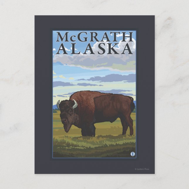 Bison Scene - McGrath, Alaska Postkarte (Vorderseite)